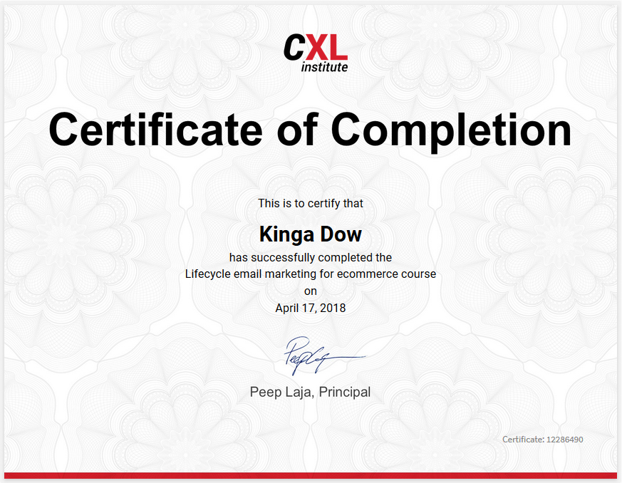 klaviyo email marketing expert